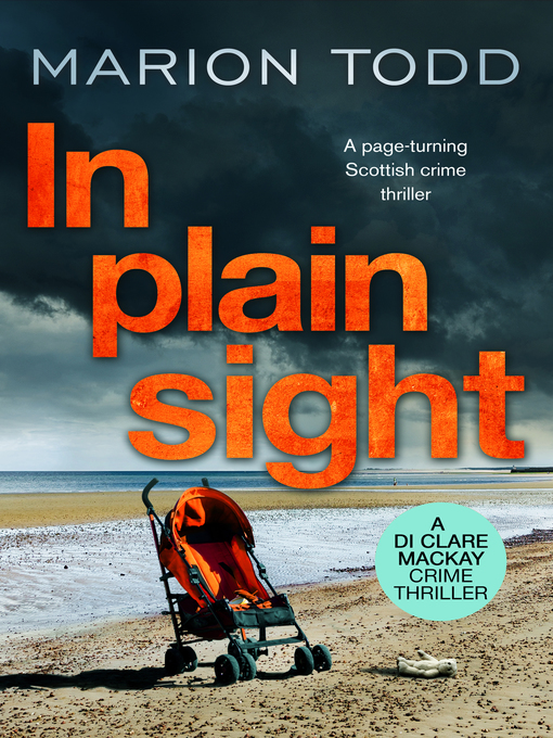 Title details for In Plain Sight by Marion Todd - Wait list
